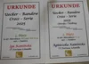Bild von Galerie: Leichtathletik Oktober-Dezember 2025