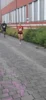 Bild von Galerie: Leichtathletik April-Juni 2026