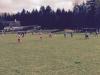 Bild von Galerie: Kinderfußball 2015