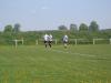 Bild von Galerie: Herrenfußball 14/15