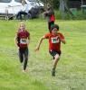 Bild von Galerie: 10. Brüssower Pokallauf, 16.05.2015