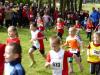 Bild von Galerie: 10. Brüssower Pokallauf, 16.05.2015