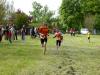Bild von Galerie: 10. Brüssower Pokallauf, 16.05.2015