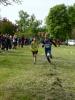 Bild von Galerie: 10. Brüssower Pokallauf, 16.05.2015