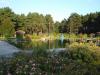Vorschau:Waldbad Borkheide