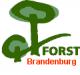 Vorschau:Oberförsterei Neustadt Landesbetrieb Forst Brandenburg