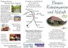 Vorschaubild der Meldung: Breier's Kr&auml;utergarten und Hofcafe - Flyer
