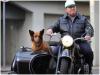 Vorschaubild der Meldung: Polizeihauptmeister Krause nimmt seine Ermittlungen im Beelitzer Rathaus auf