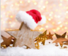 Meldung: Weihnachtsgruß vom Sommerberg