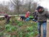 Meldung: Öffentlicher Workshop: Gärtnermeister zeigt, worauf es beim Rosenschnitt ankommt