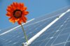 Meldung: Photovoltaik im Garten