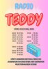 Meldung: Jugendortsvorsteher bei Radio Teddy