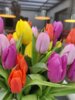 Meldung: Gross Laasch - 17.04.2025 - Eierschnorren