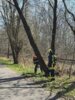 Meldung: Einsatzbericht 15/2025 - 05.04.2025, H1 THL Klein "Baum droht auf Straße zu stürzen" Schleife