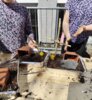 Meldung: Ein Ostergarten der Hoffnung