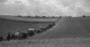 Meldung: Trailer Heimat