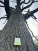 Meldung: Auch tot noch wertvoll für die Natur