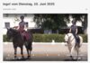 Meldung: Bericht Spezialklasse Reitsport beim ZDF