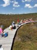 Meldung: "Moor & more" - Die dritten Klassen unterwegs im Hochmoor