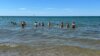 Meldung: Klassenfahrt der 6b - Reise ans Meer