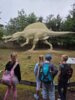 Meldung: Besuch im Tier- und Saurierpark Germendorf