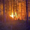 Meldung: Einsatzbericht 27/2025 - 02.07.2025, B2 Waldbrand, Schießsportanlage Schleife