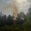 Meldung: Einsatzbericht 28/2025 - 04.07.2025, KatSchutzeinsatz Waldbrand groß, Gohrischer Heide