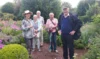 Meldung: Duftender Phlox dominierte den Staudengarten: Besuch bei Marianne und Detlef Lüdke im Eiskeller Spandau