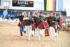 Meldung: 3. DSP-Jungzüchterwettbewerb vom 14. bis 16. November auf der Olympia-Reitanlage in München-Riem