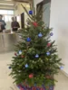 Meldung: Weihnachtsfeier in der Unterkunft „Mühlenstraße“