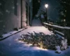 Vorschaubild der Meldung: Weihnachtsbäume nur an vorhandenen Werstoffcontainerstellplätzen ablegen