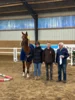 Meldung: Freispringtag in Gadow - Sieger von Oganero P, Cornet’s Balou und Top Boy of Love