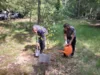Vorschaubild der Meldung: Geburtsbaum für die 2025 geborenen Kinder wird am 6. Juni im Tierpark gepflanzt – Anmeldungen bis zum 15. Mai