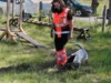 Vorschaubild der Meldung: Bürgermeister Axel Schmidt besucht die Rettungshunde Prignitz beim Tag der offenen Tür