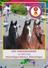 Meldung: Sieger von morgen: DSP-Springfohlenauktion bei den Winterlingen Winners