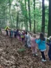 Meldung: Waldtage 2026