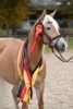 Meldung: Ausschreibung Bundesstutenschau für Haflinger und Edelbluthaflinger