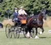 Meldung: Fahrsport in Brieselang