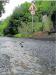 Meldung: Ortsgemeinde: Regen lässt Geröll vom Eichelberg in Burgschwalbach rutschen 