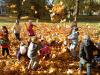 Vorschaubild der Meldung: "Herbstzeit, schöne Zeit..."