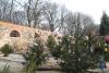 Vorschaubild der Meldung: Weihnachtsb&auml;ume auf dem Gutshof
