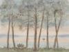 Vorschaubild der Meldung: Ausstellung „Brandenburger Impressionen“ verlängert