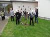 märkische Linde als Gruß zu 66 Jahre Partnerschaft vor der Kirche in Ratingen gepflanzt