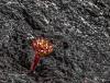 Lava-Steine zur Energiespeichung - Die neue Steinzeit