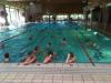 Meldung: Hamelner Stadtschulmeisterschaften im Schwimmen