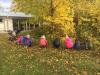 Meldung: Einpflanzen der Frühblüher