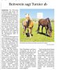 Reitverein sagt Turnier ab