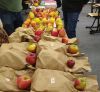Vielfältige Apfelsorten (Foto: LPV TSOS)
