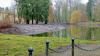 Schlosspark in Harbke: Vom Schlamm befreit sind Ufer und Sohle des Waschhausteichs