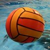 Wasserball Oberliga Abschlussbericht